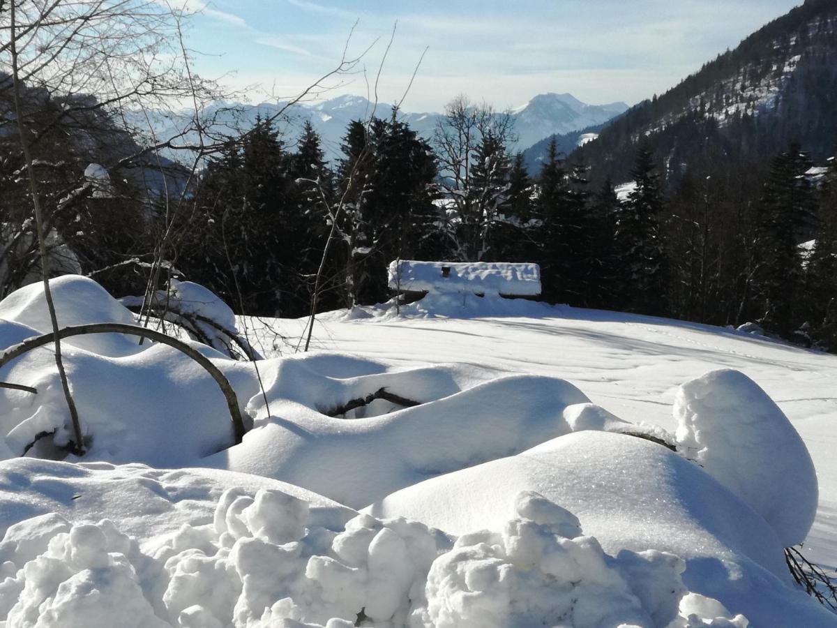 Apartamento Karrerhof Walchsee Exterior foto